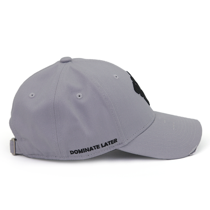 Heated Grey Damaged Baseball Cap